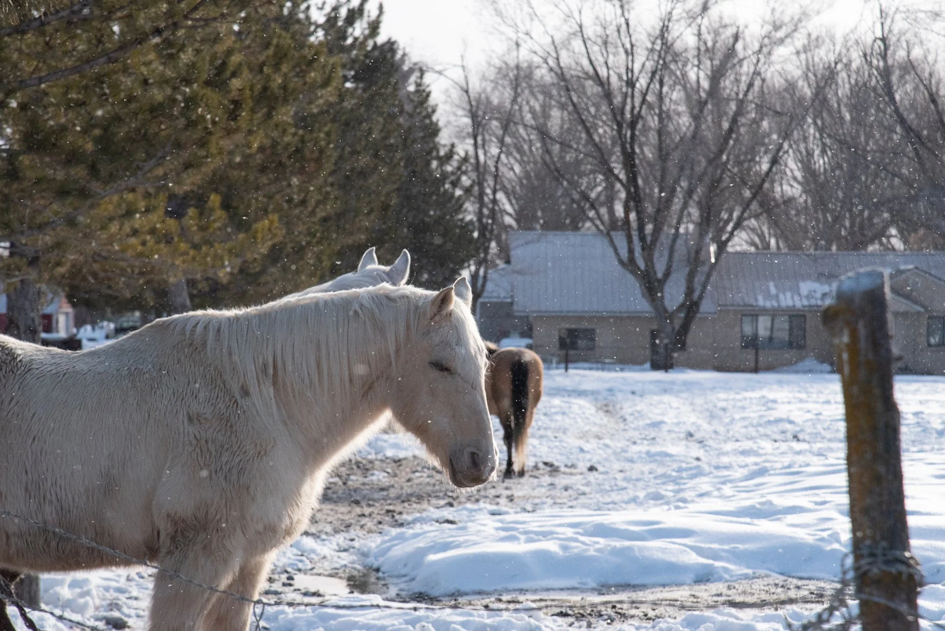 19_DSC_9216 copia.jpg