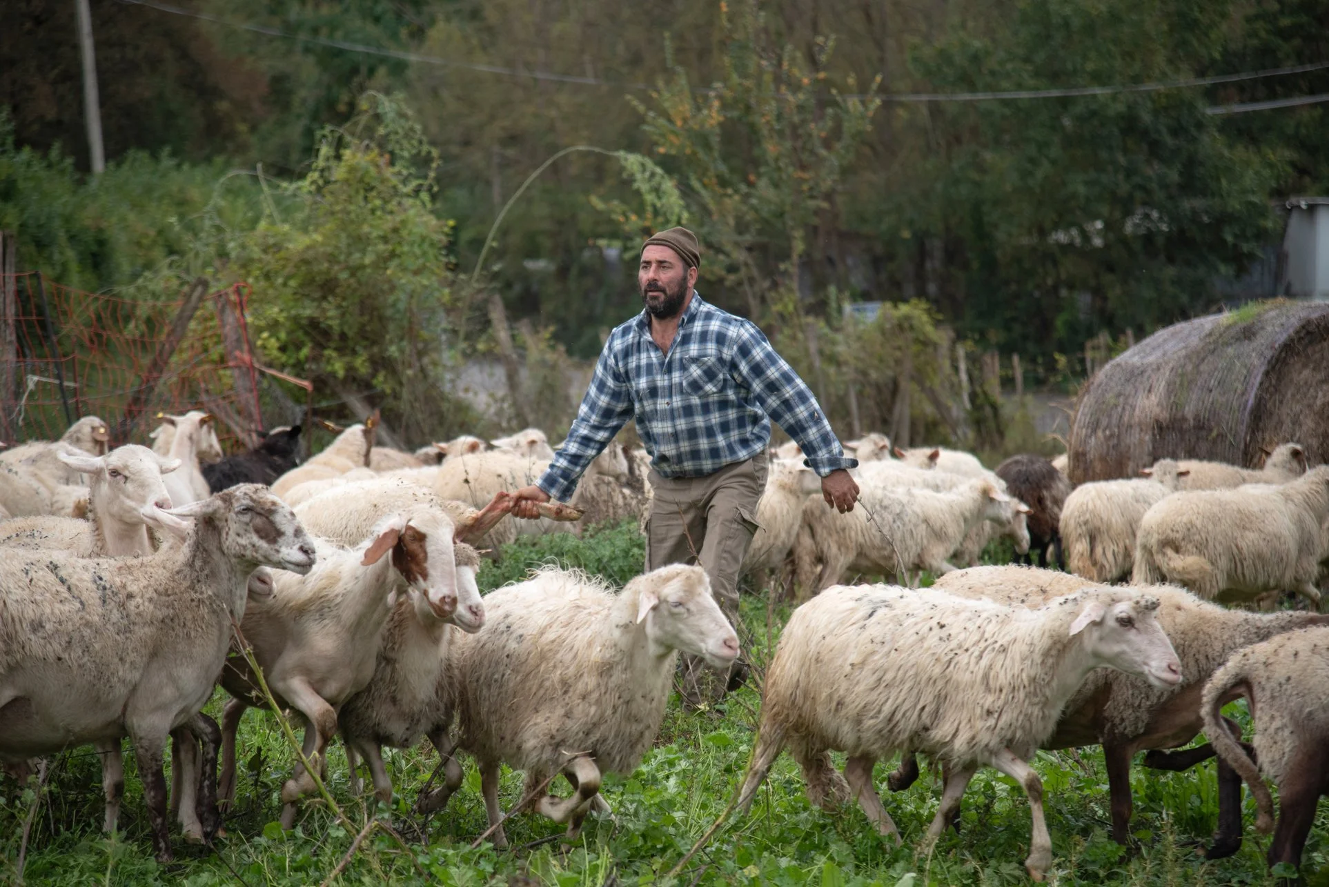 20_DSC_5783 copia.jpg