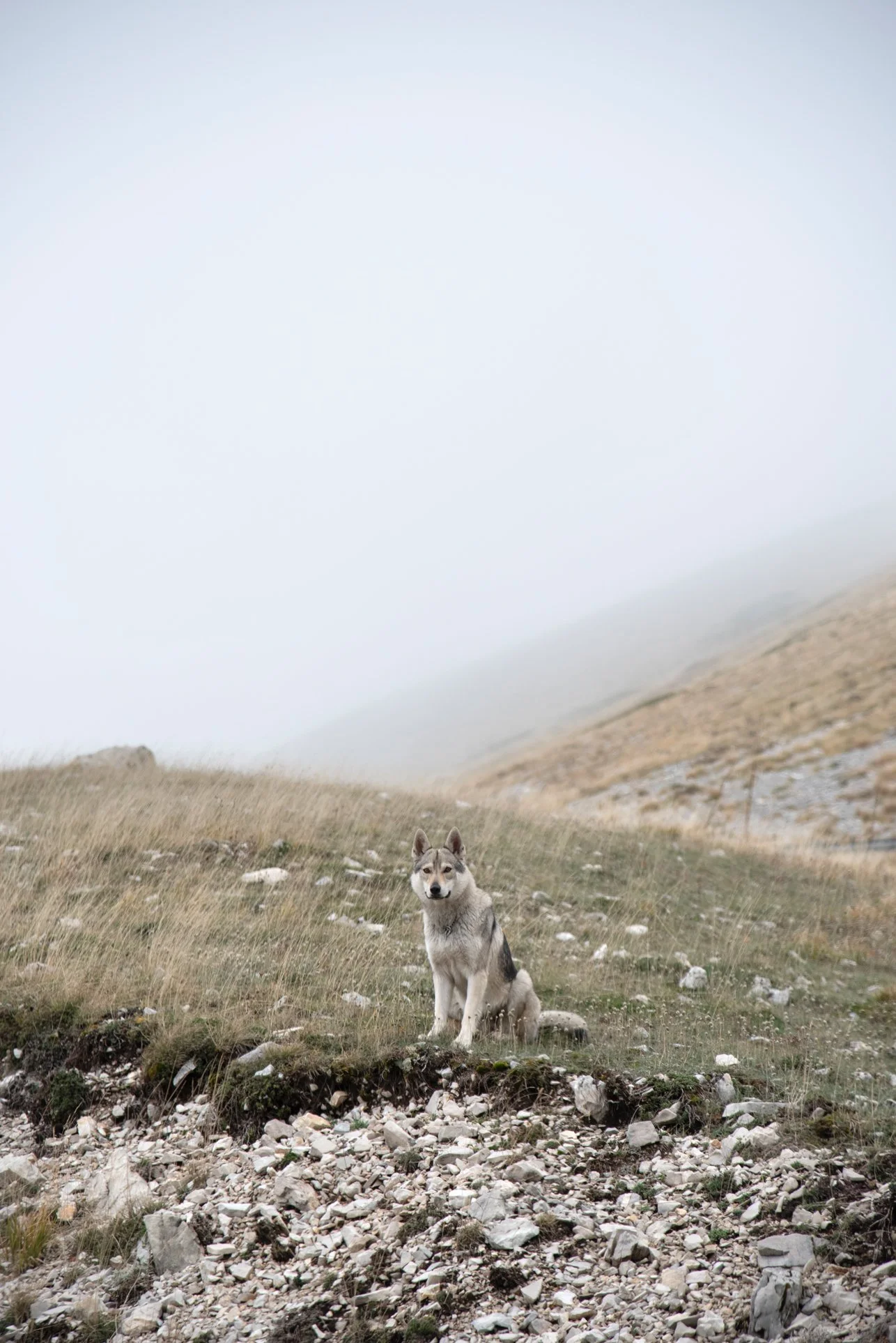 05_DSC_6317 copia.jpg