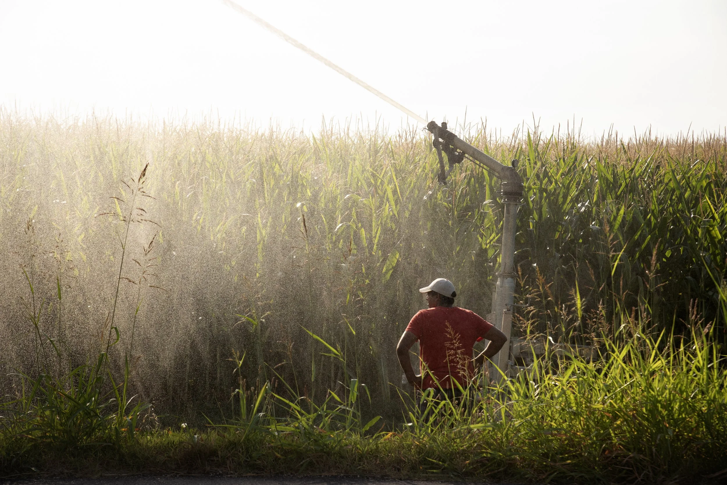 40_DSC_4578 copia.jpg