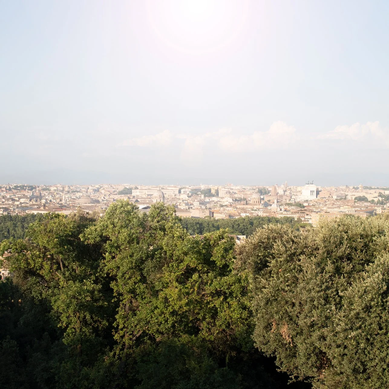 17_DSC_2691-2 copia (1).jpg