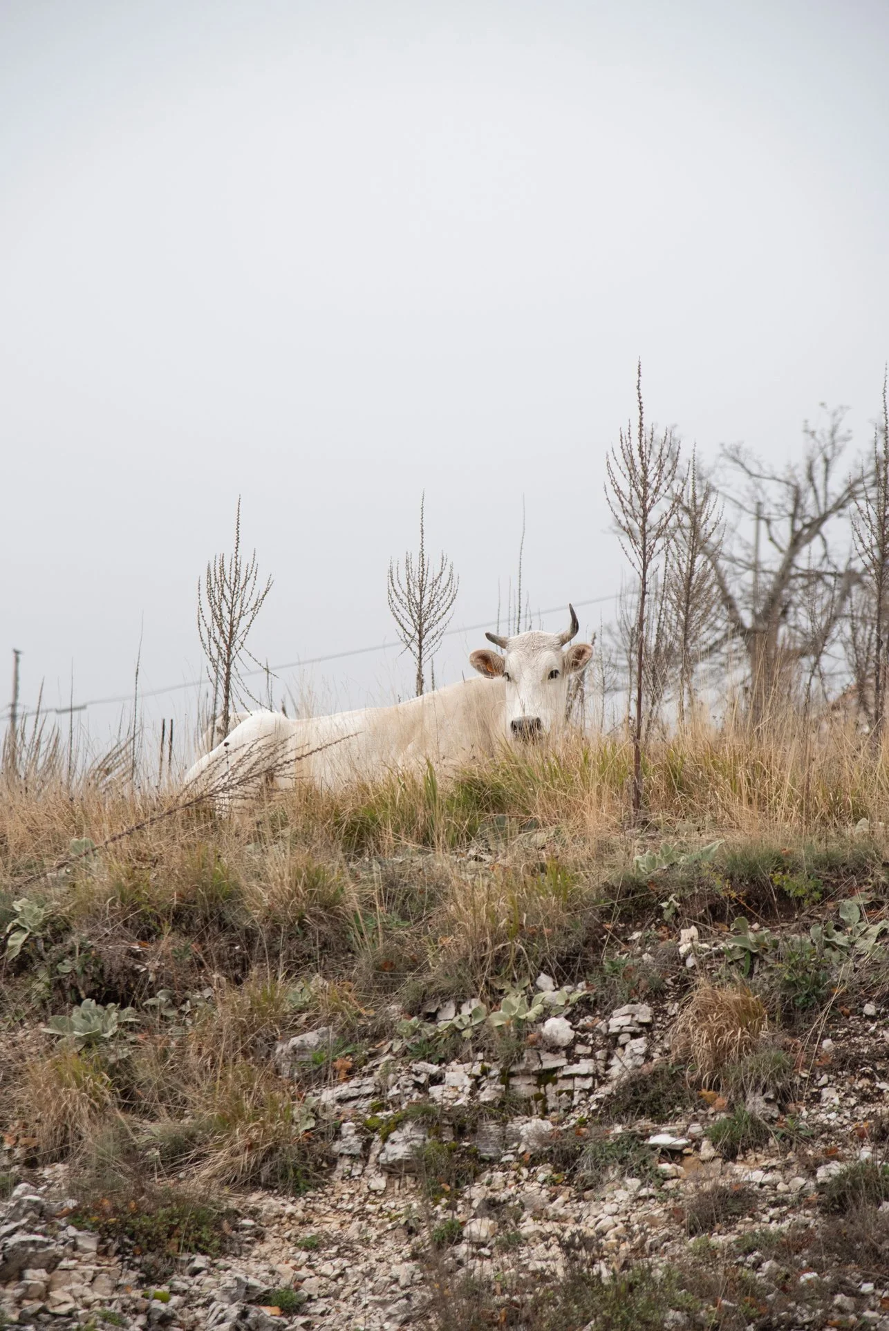 04_DSC_6194 copia.jpg