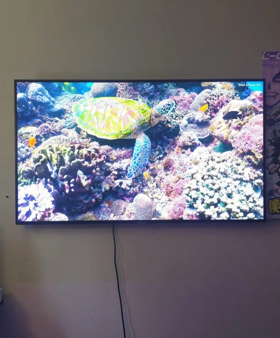 Mounted 55 inch television screen displaying an underwater coral reef scene with colorful fish and a turtle.