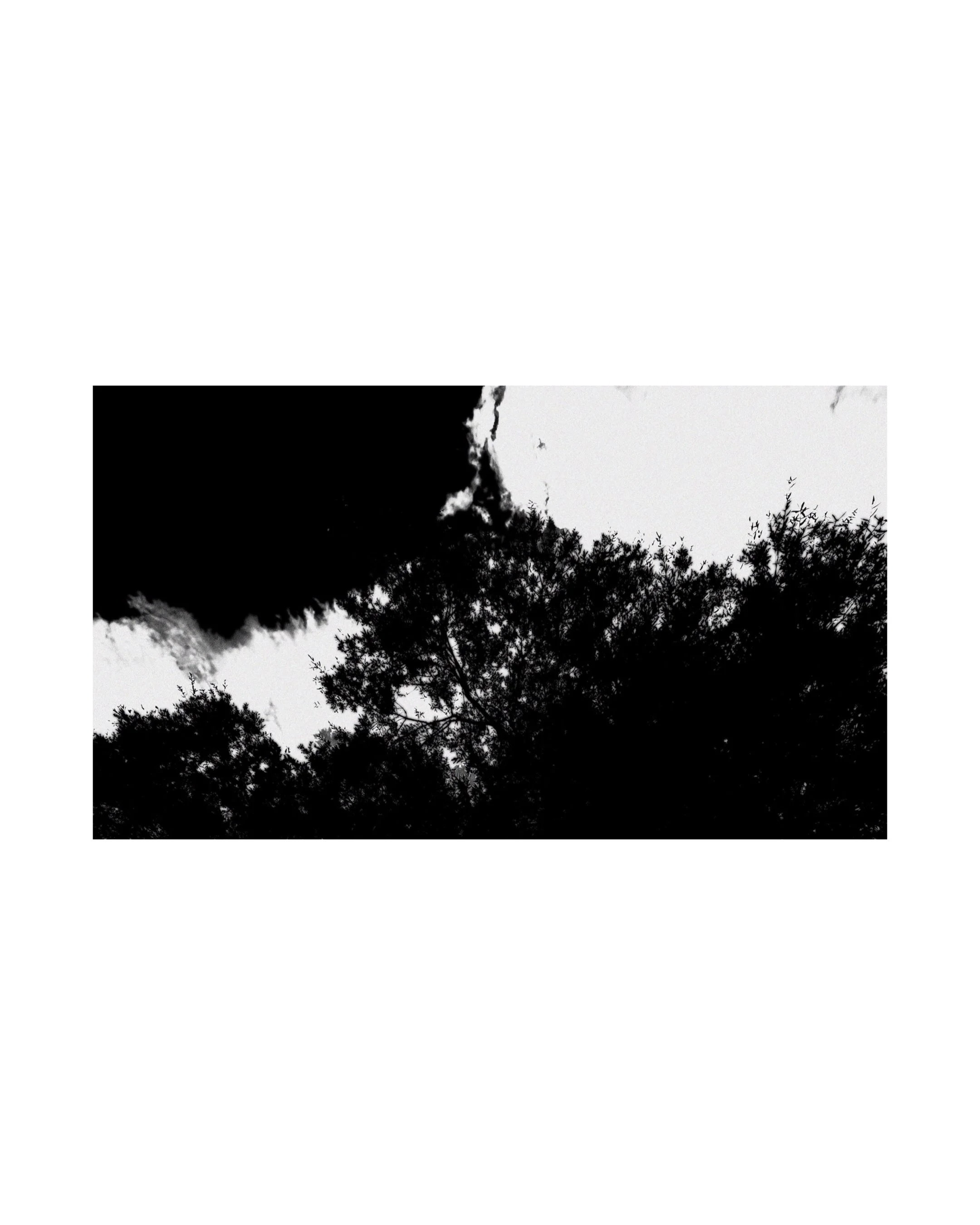 https://williammiquel.com/shop/p/dreaming-in-ink