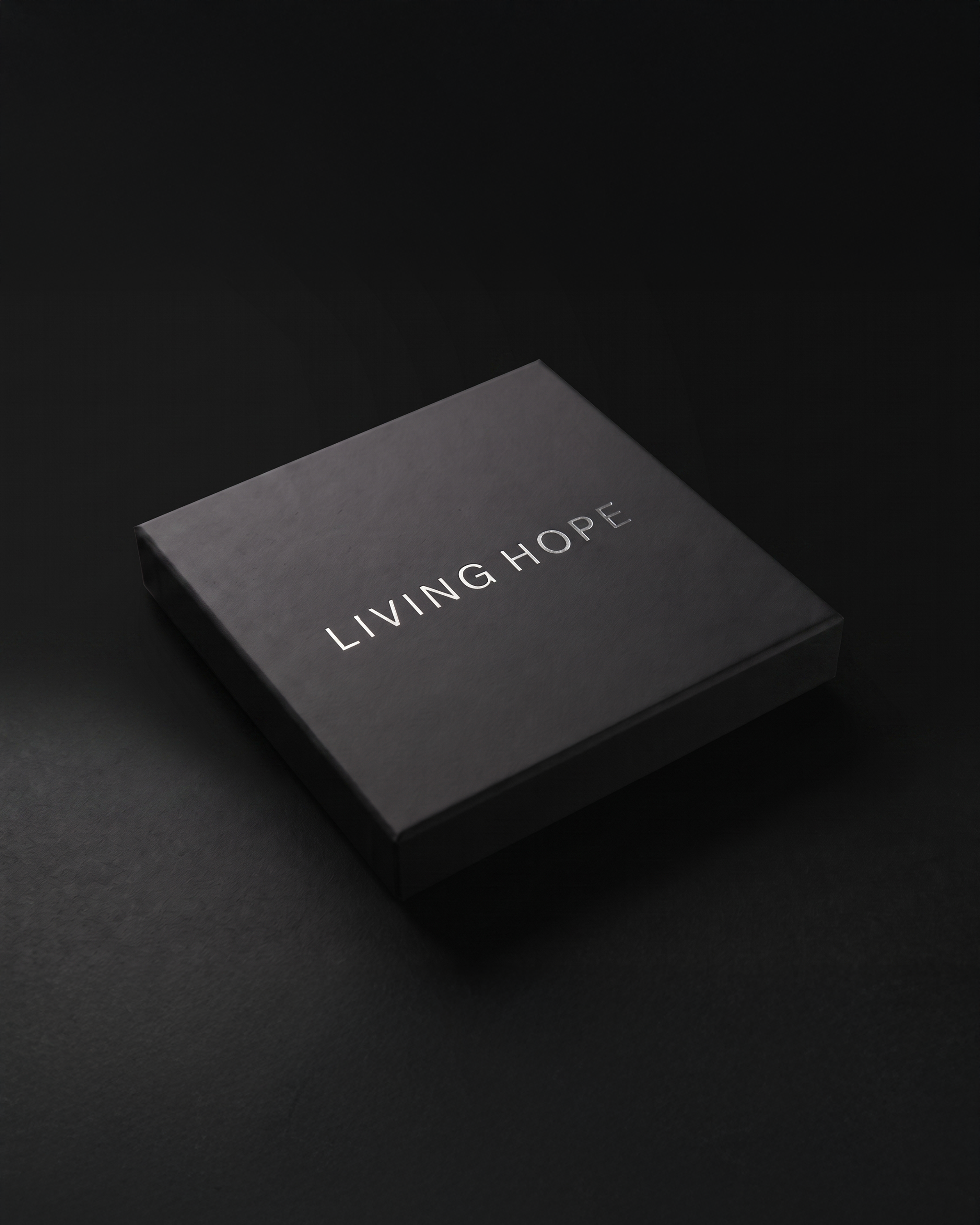 https://williammiquel.com/shop/p/living-hope