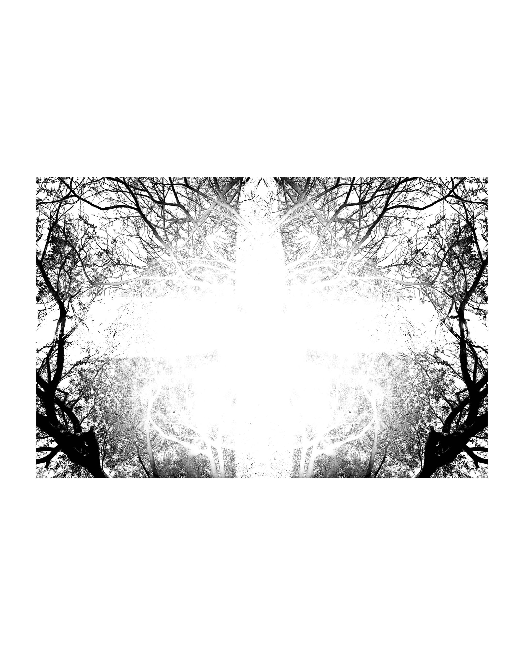 https://williammiquel.com/shop/p/dawn-of-tomorrow