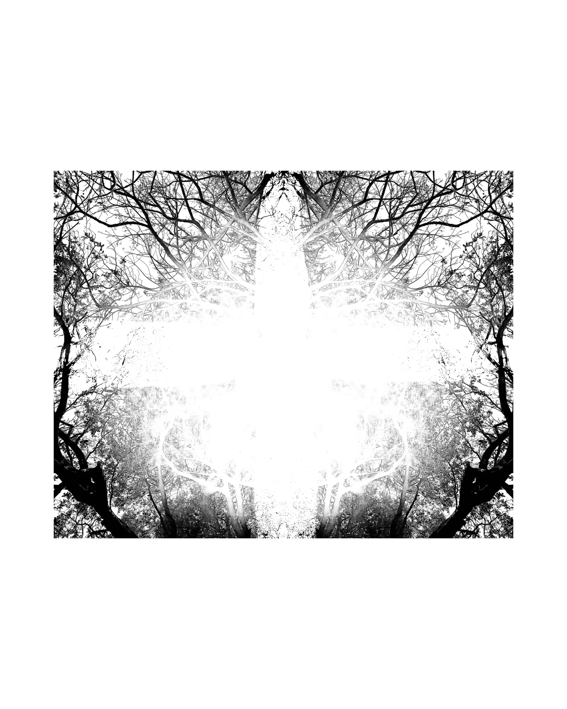 Dawn of Tomorrow