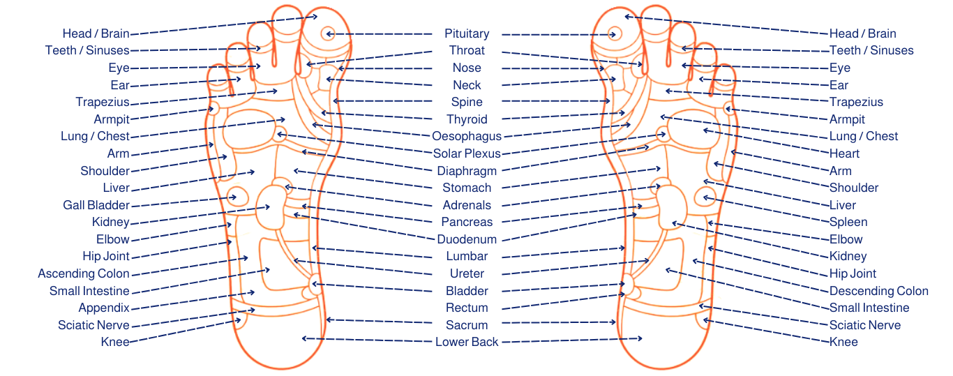 reflexology foot charts showing pressure points