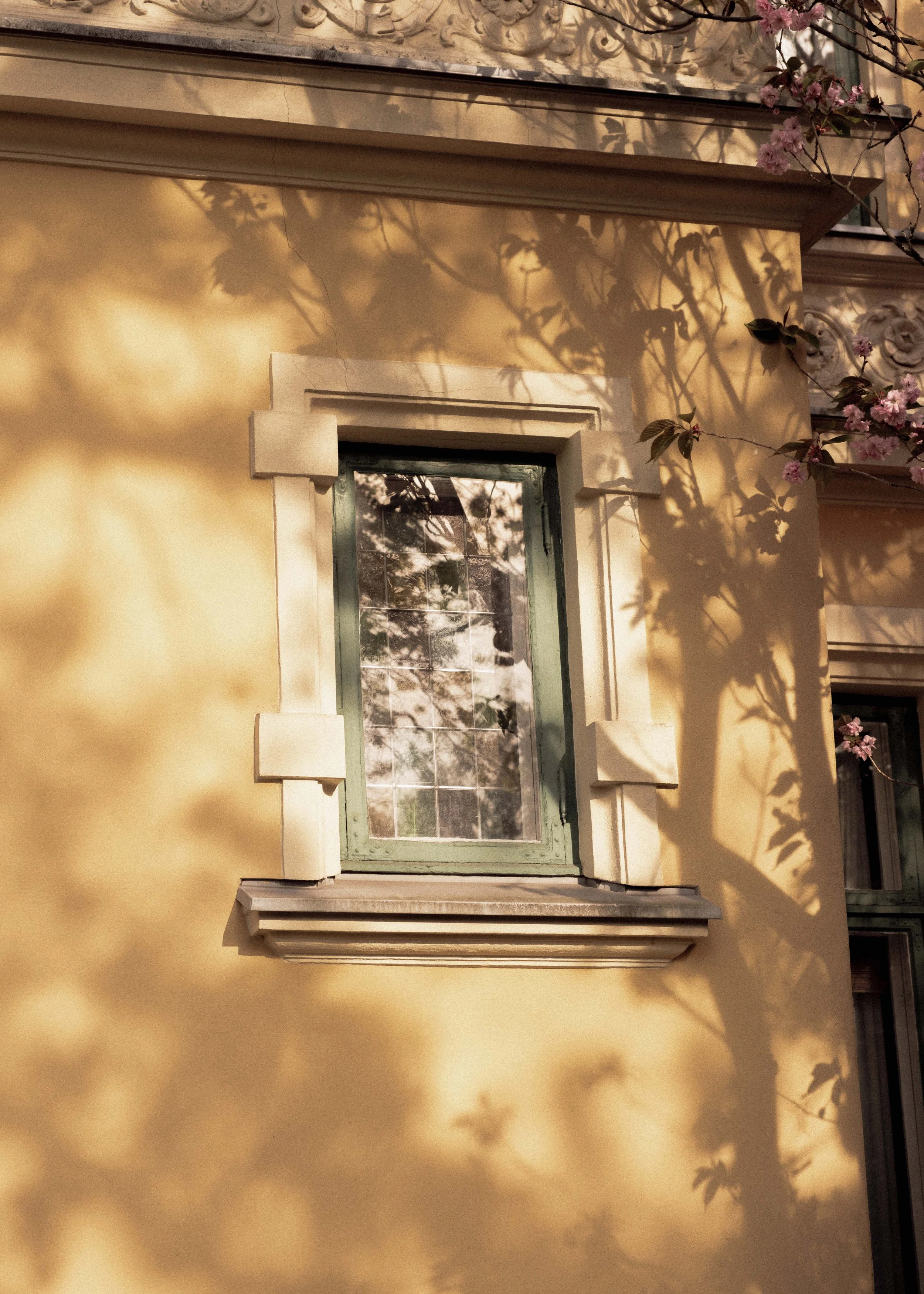 DSCF2109.jpg