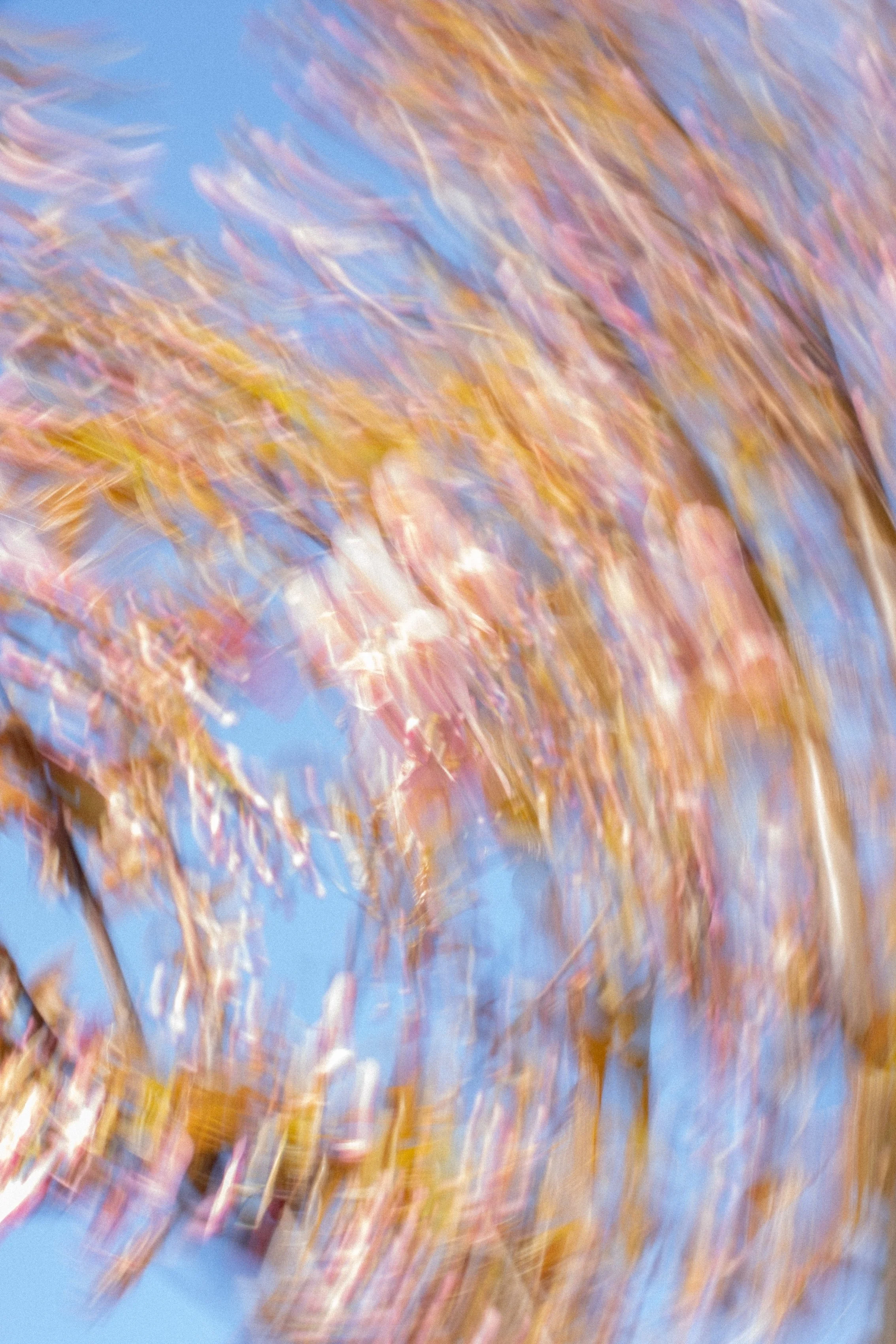 DSCF9622.jpg