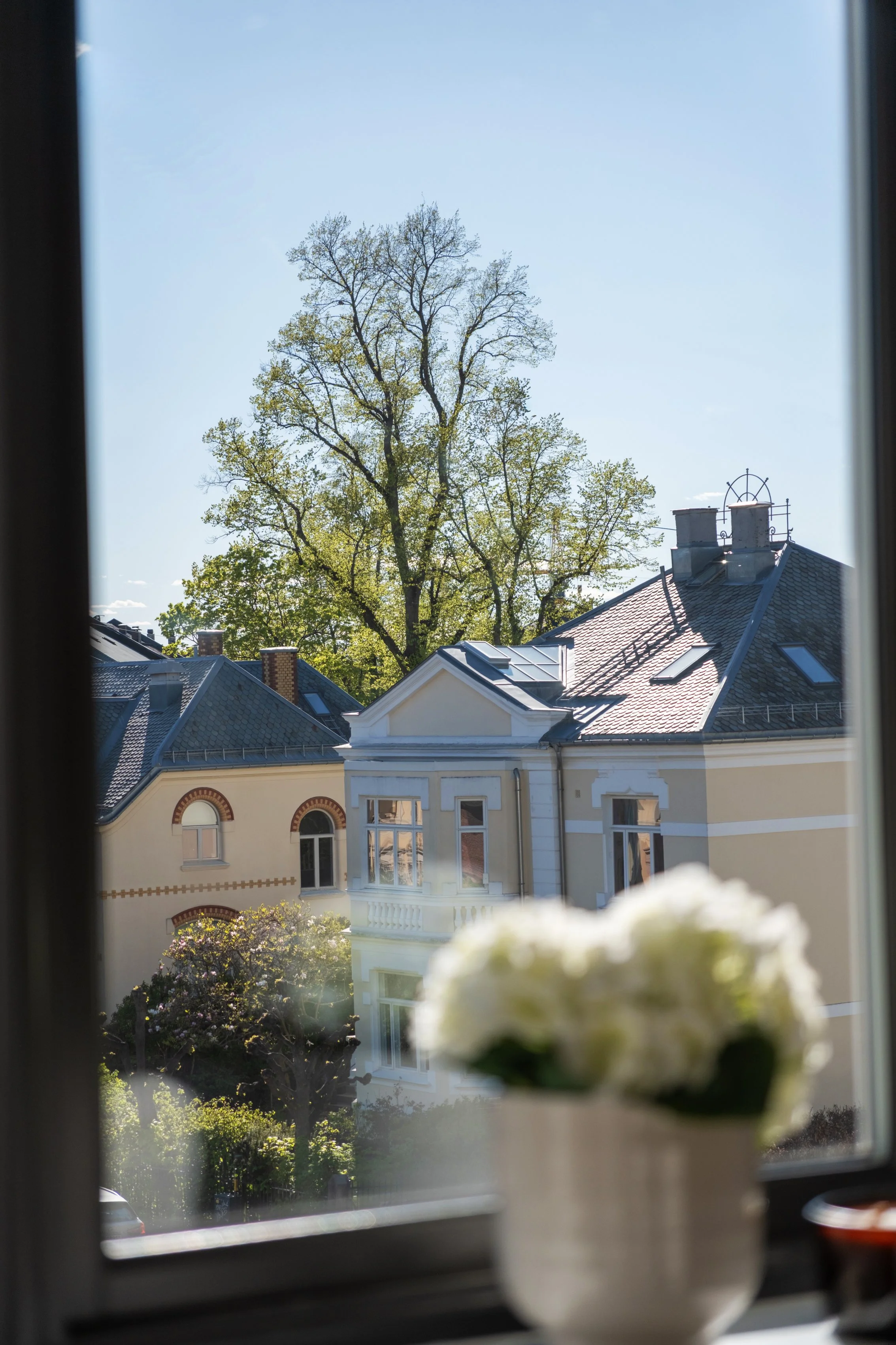 DSCF2085.jpg