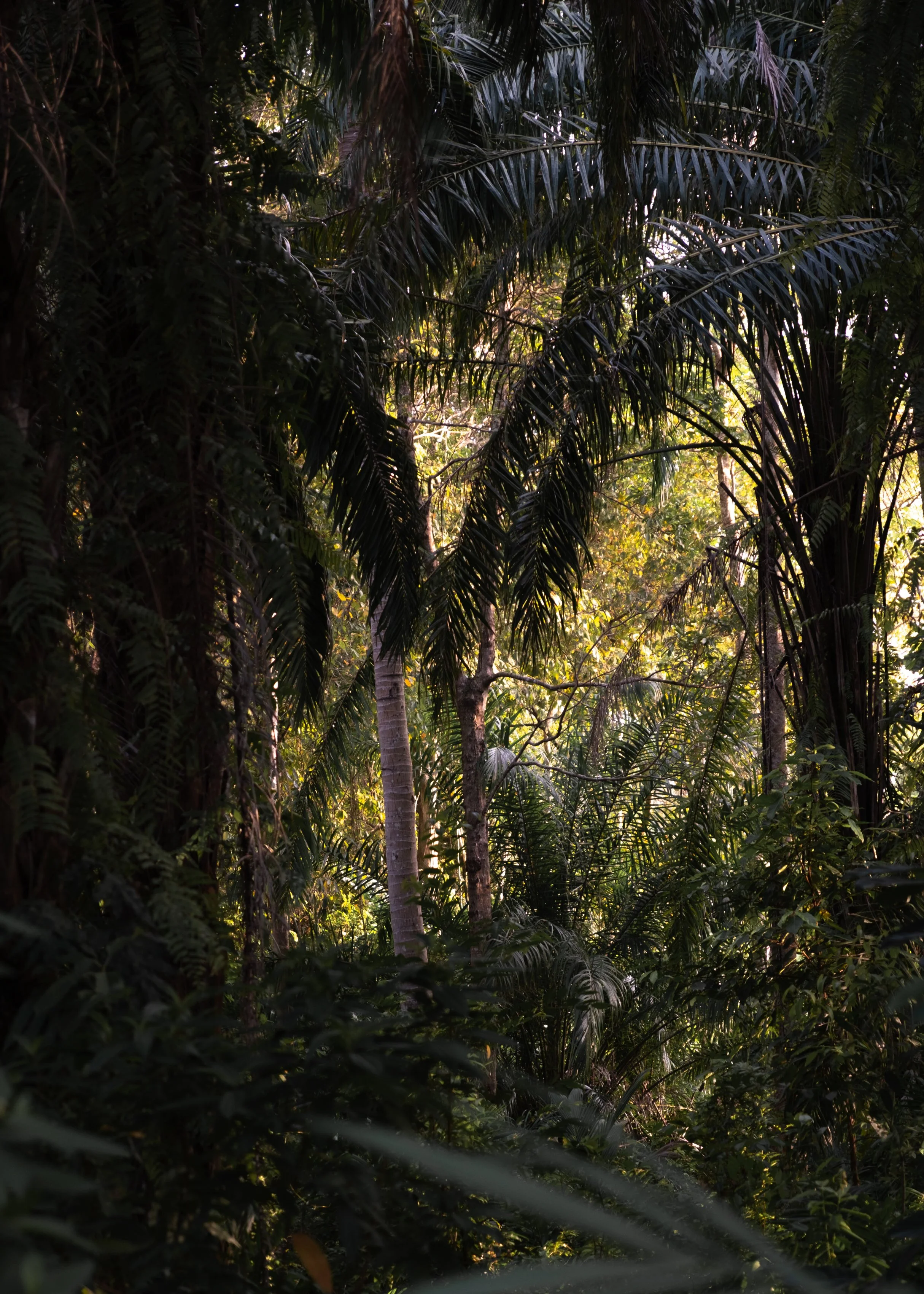 What feels essential?