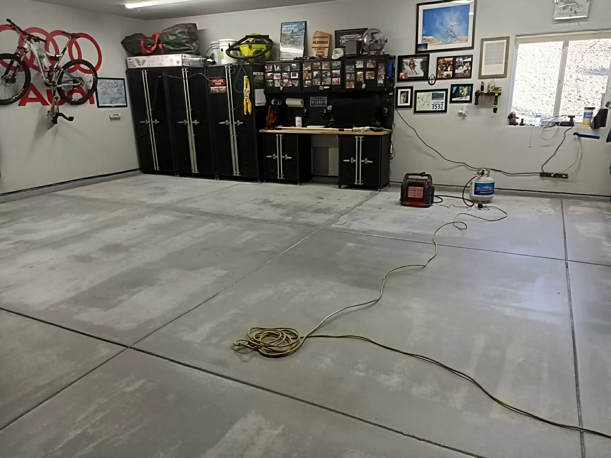 True Coat Painting (3).jpg