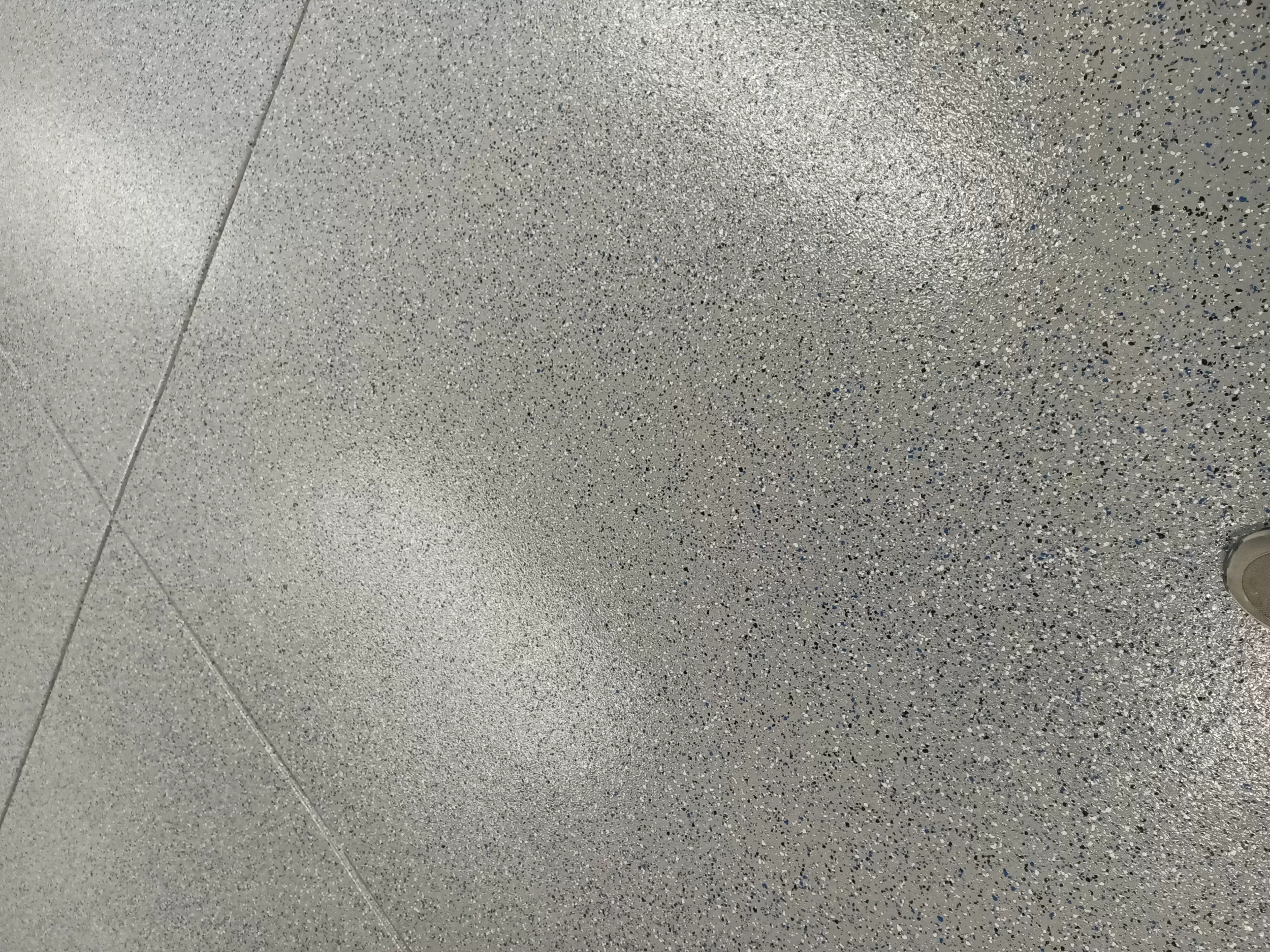 True Coat Painting (18).jpg