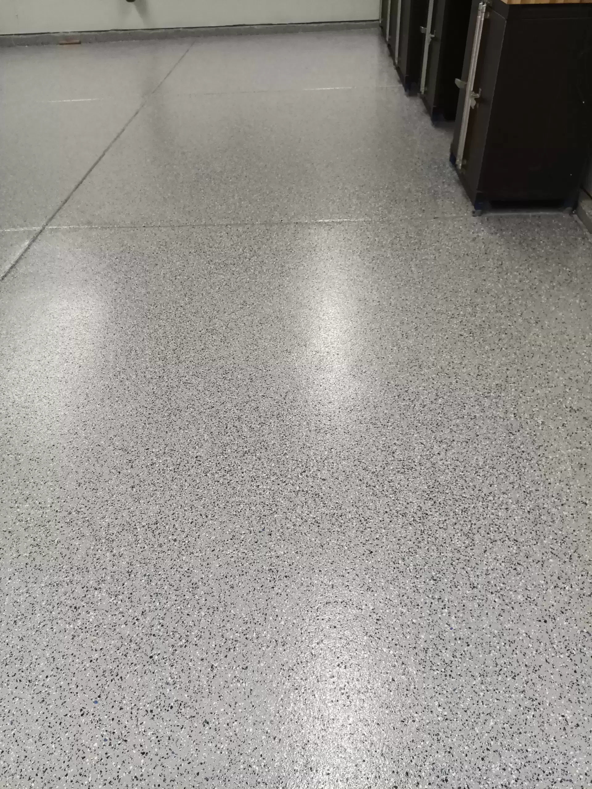 True Coat Painting (4).jpg