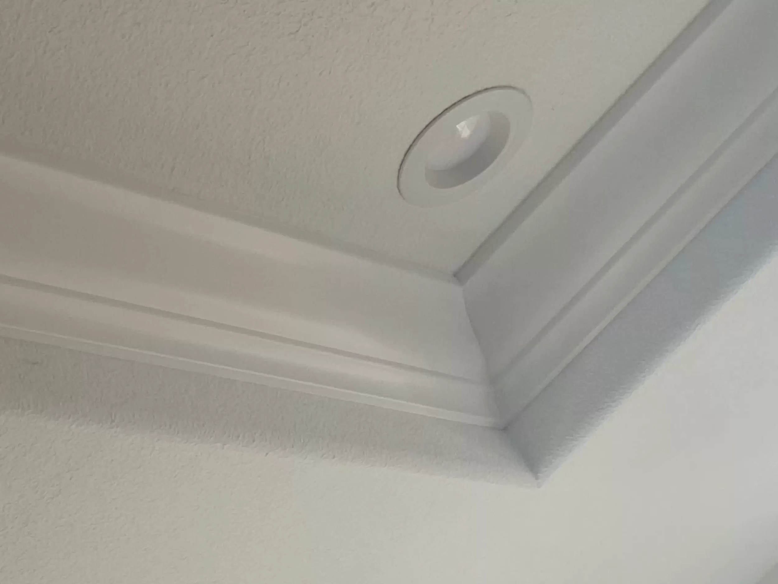 True Coat Painting (22).jpg