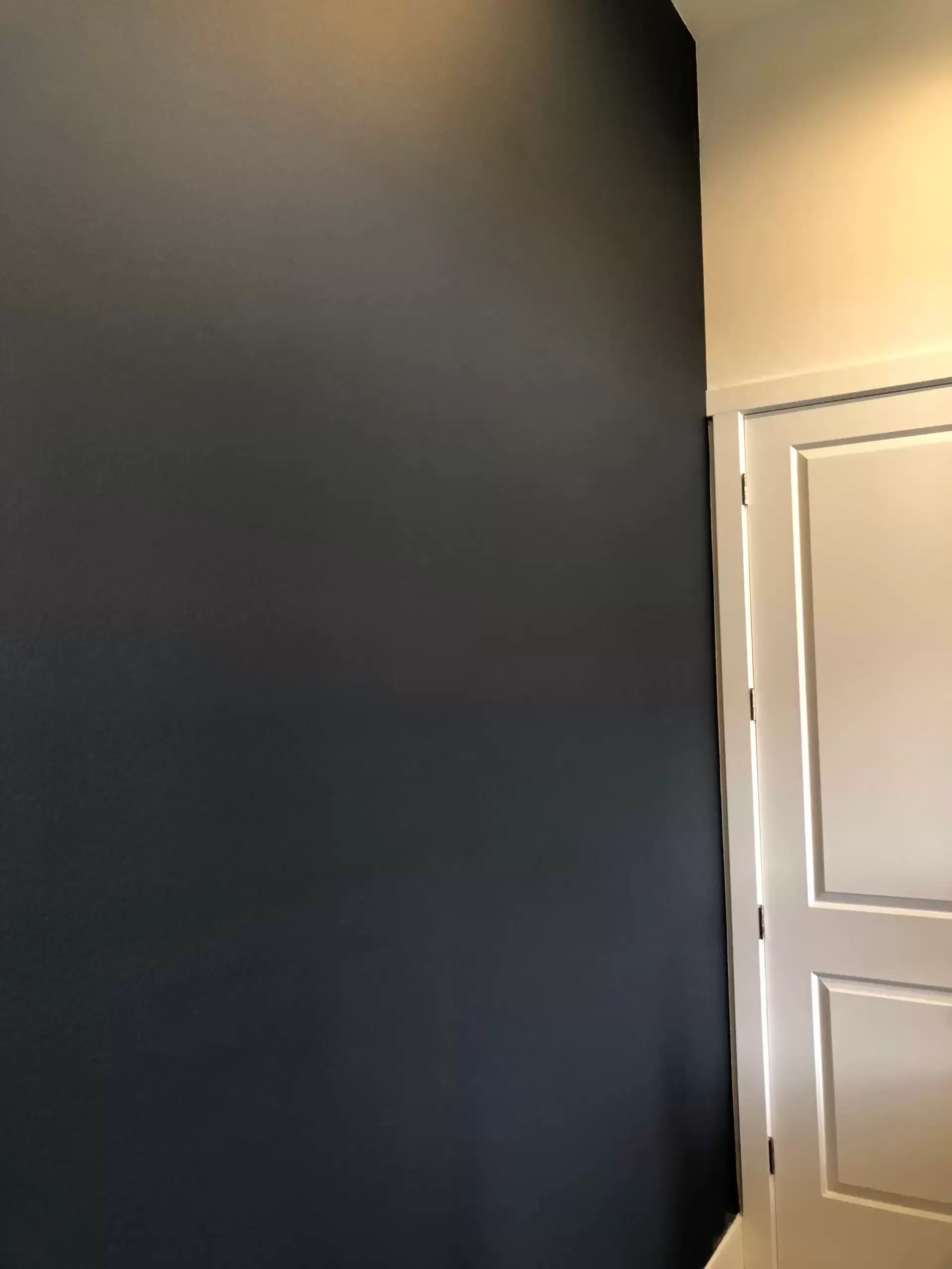 True Coat Painting (26).jpg