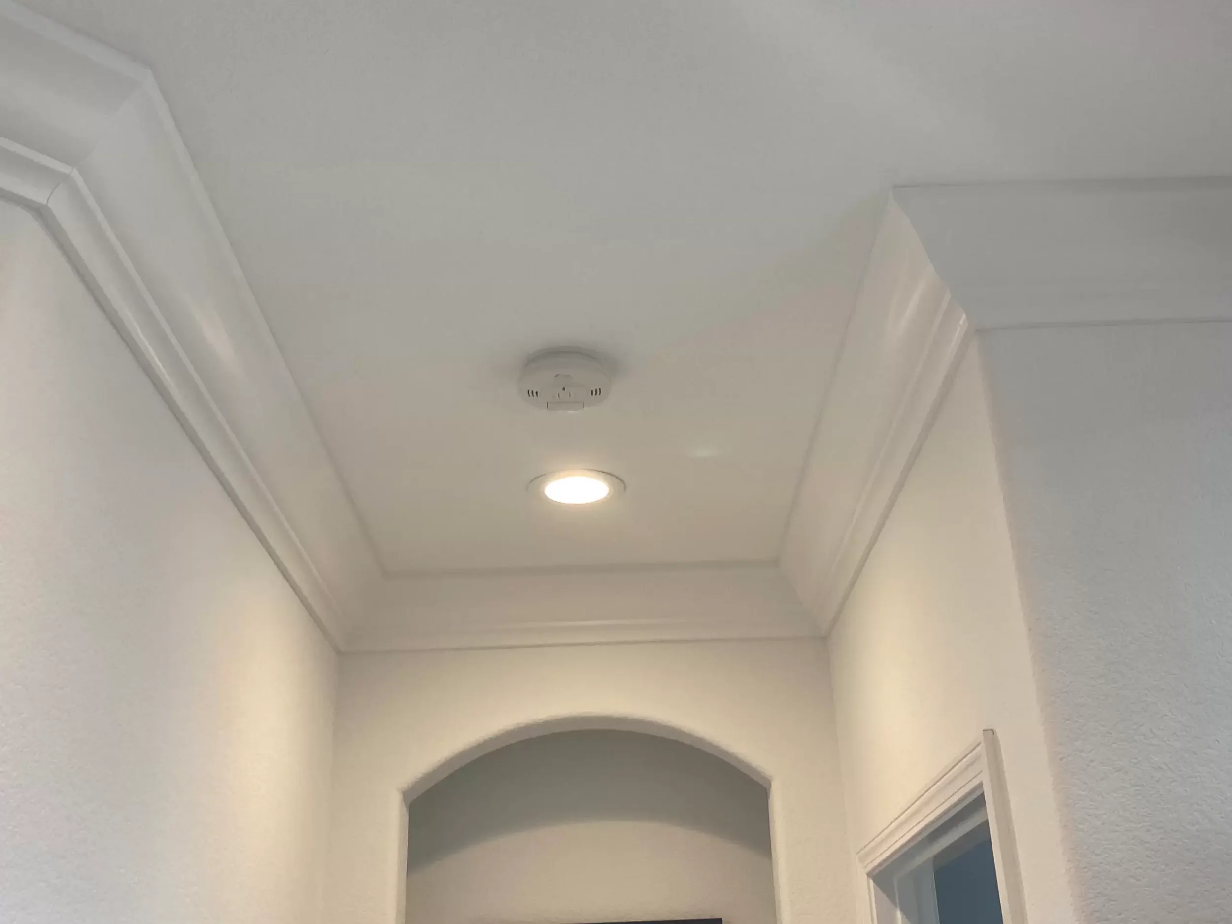 Ceiling Painting Trends Homeowners in Reno, NV, Are Finally Embracing