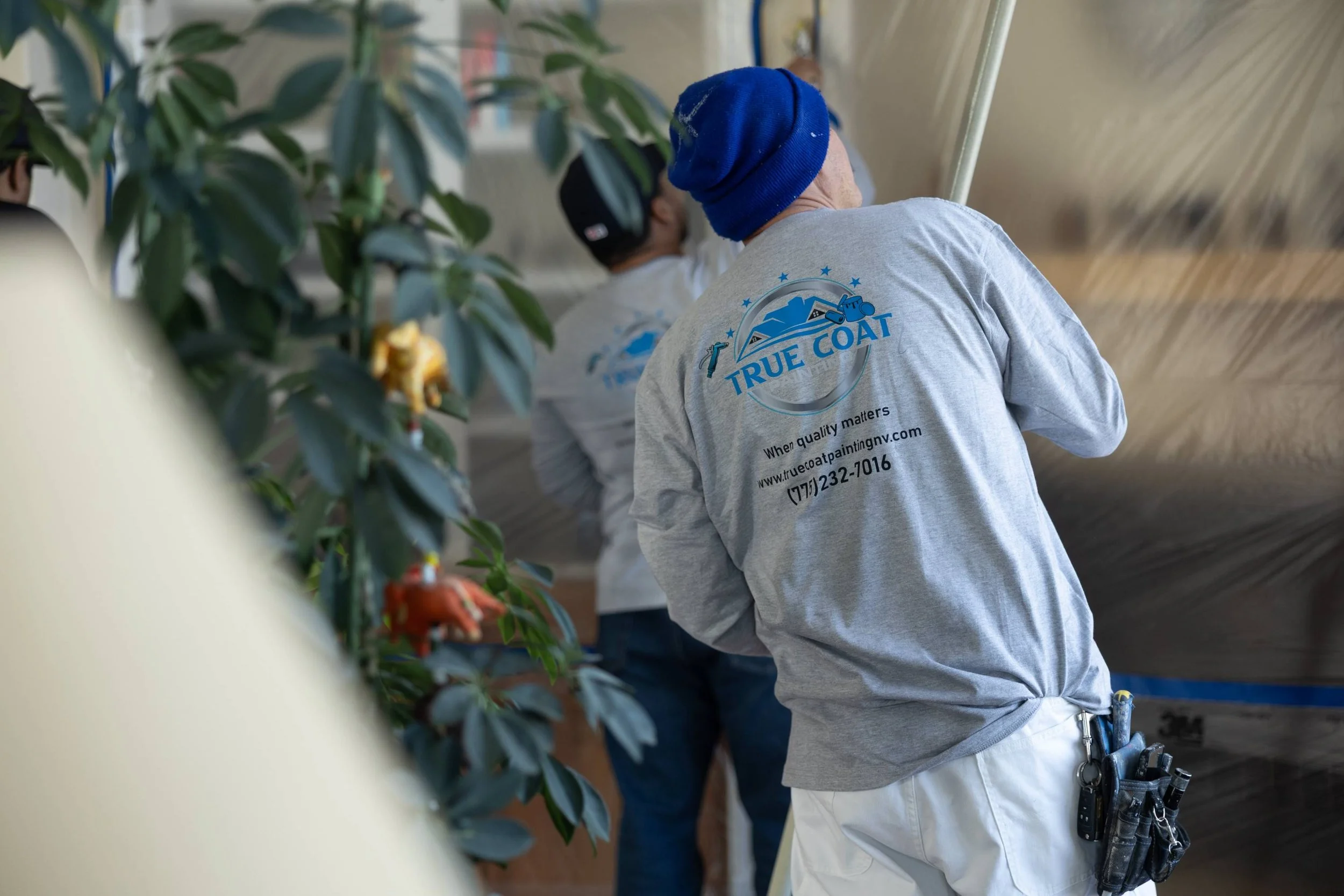 Interior Painting Choices That Feel Right for Reno, NV, Seasons