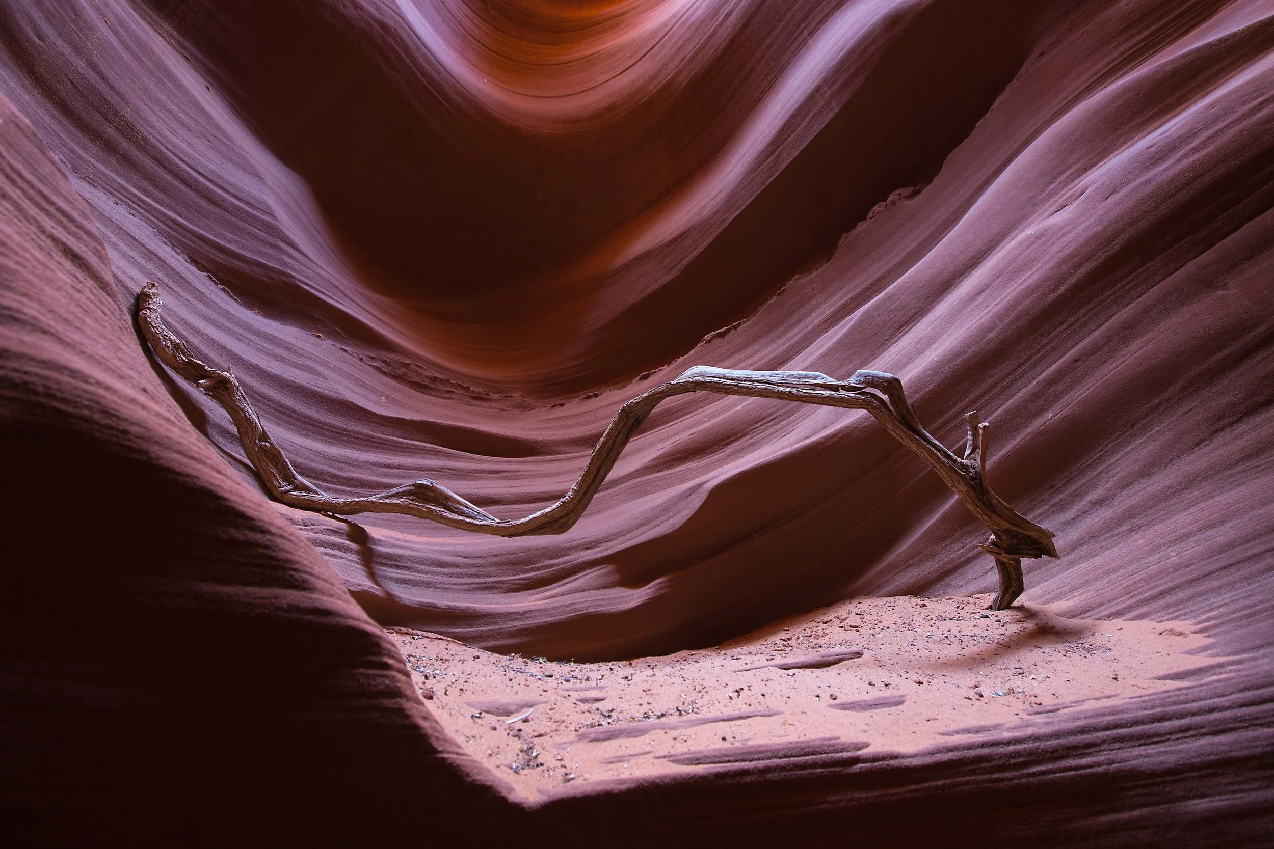 A narrow, winding slot canyon with smooth, layered sandstone walls in shades of pink and red, and a dry, sandy floor with a twisted, weathered piece of driftwood.