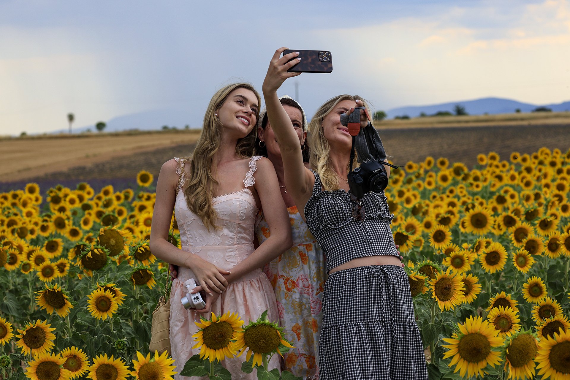 ZvonarBrane_Gracije na polju sončnic.jpg