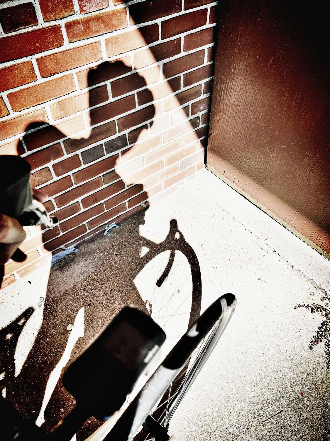 Shadow of a bicycle and a person on a brick wall and sidewalk, with a wheelchair and a brown door in the scene.