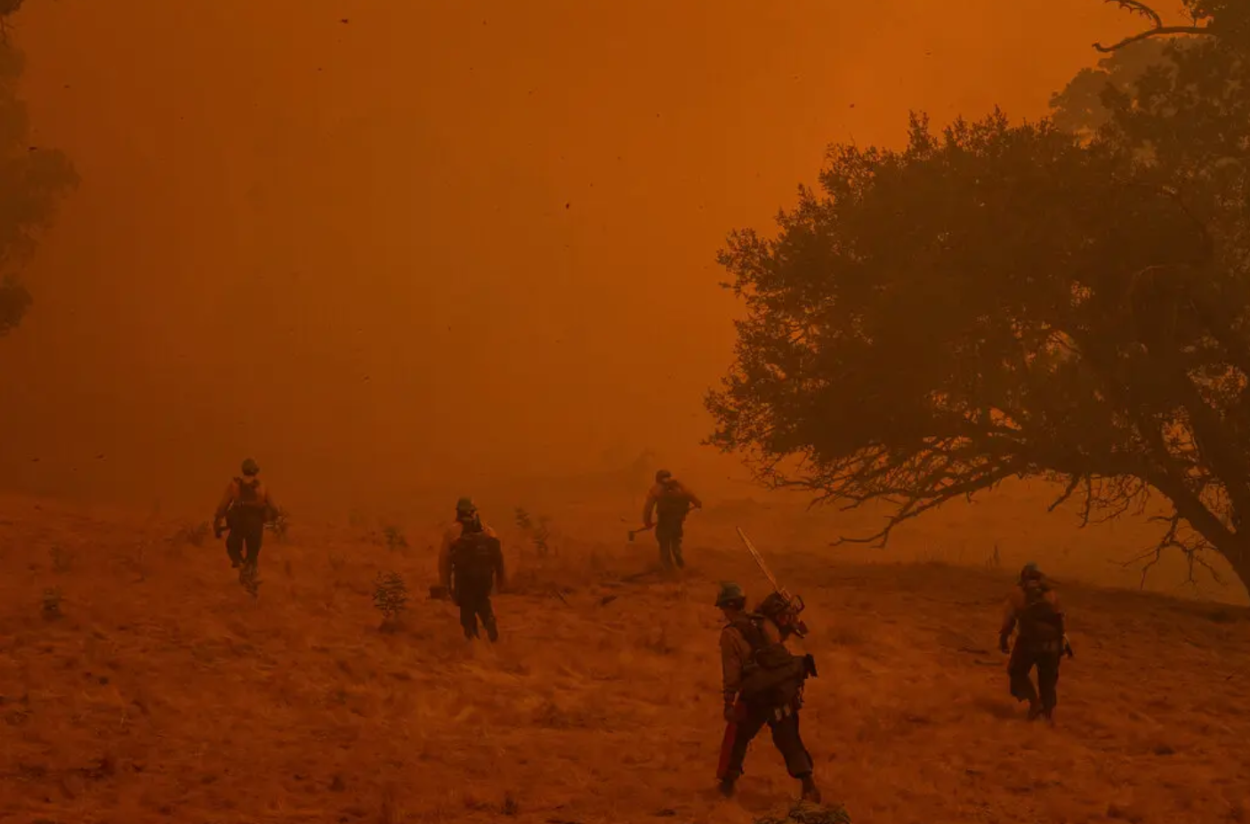 U.S. Will Pay $450,000 to Wildfire Fighters With Cancer