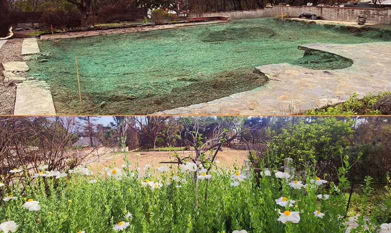 Barger Responds to Concerns Over Wildfire Soil Testing in Eaton Fire Zone