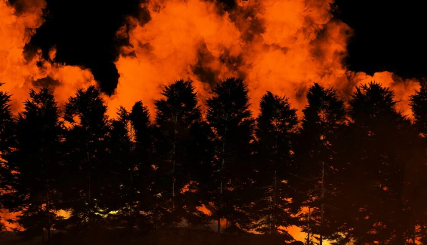 Postcard From California: LA fire recovery stymied by insurance system ill-equipped for climate crisis