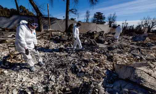 Altadena and Pacific Palisades are buried under toxic debris. Now what?