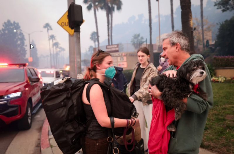 Bipartisan bill in Congress would protect pets in disasters, spurred in part by the LA fires