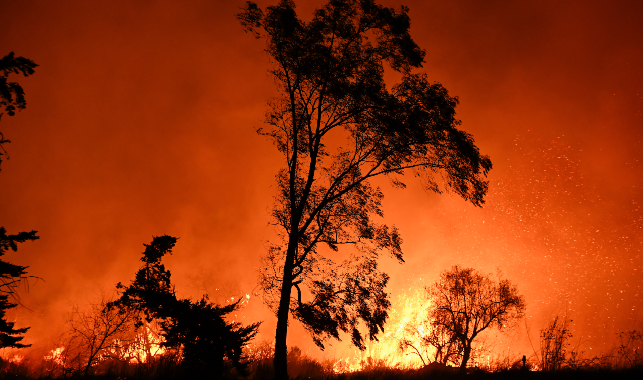 A Year After Eaton Wildfires Devastated this Historic Black Neighborhood, a Full Investigation Begins