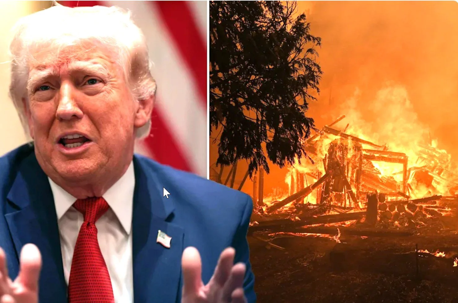 Trump Slams Insurance Giant State Farm's Response to California Wildfires