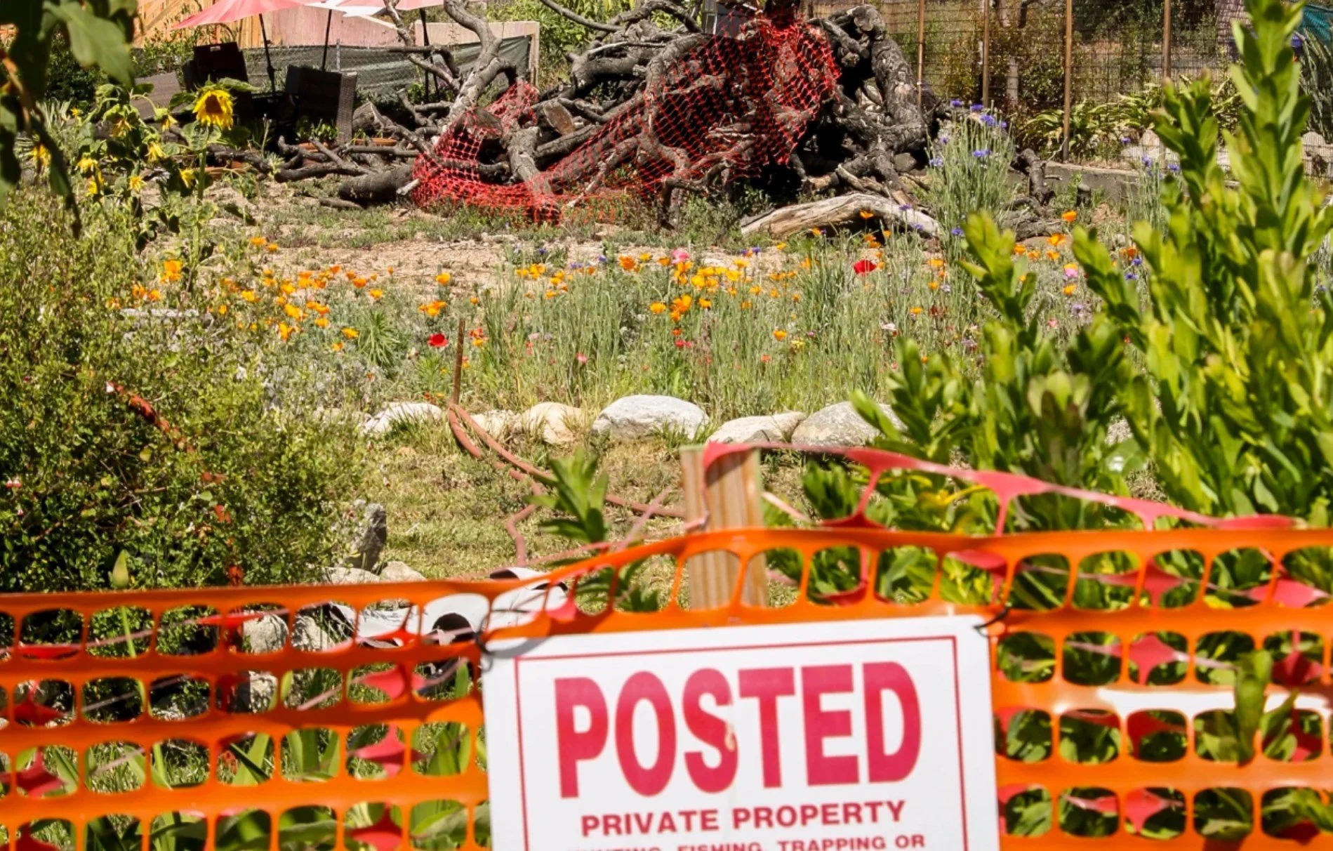 The toxic aftermath of the L.A.-area fires: Why contamination is keeping people out of their homes