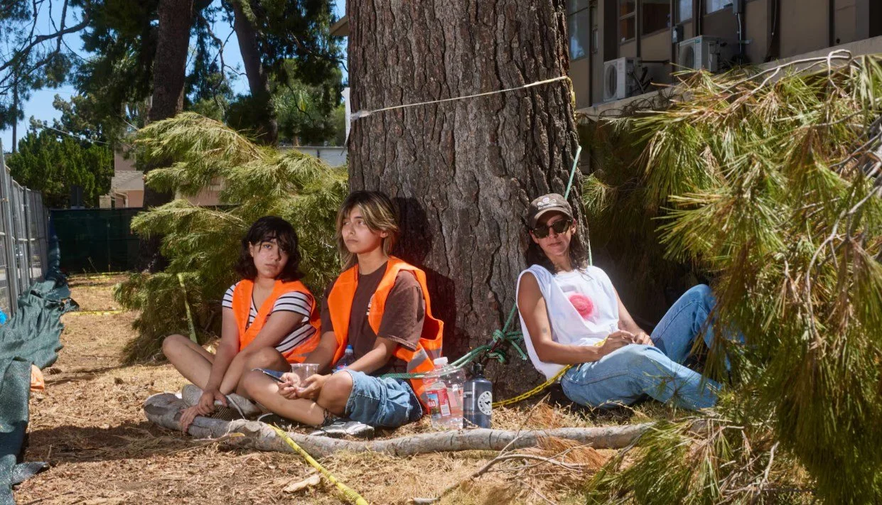 Teens are chaining themselves to trees to fight a California school district