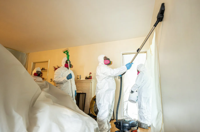 The Eaton fire coated their home in toxins. A clean-up is sharing the true spirit of Altadena.