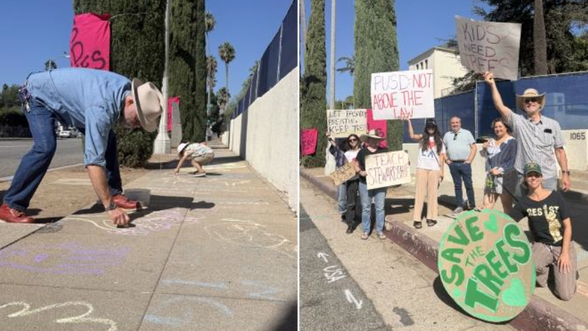 Pasadena Unified Says No Longfellow Elementary Tree Removal "Currently Happening," Takes Fresh Look at Situation