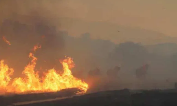 Whose bill is it when the fire spares the house but poisons the air? California just made that call
