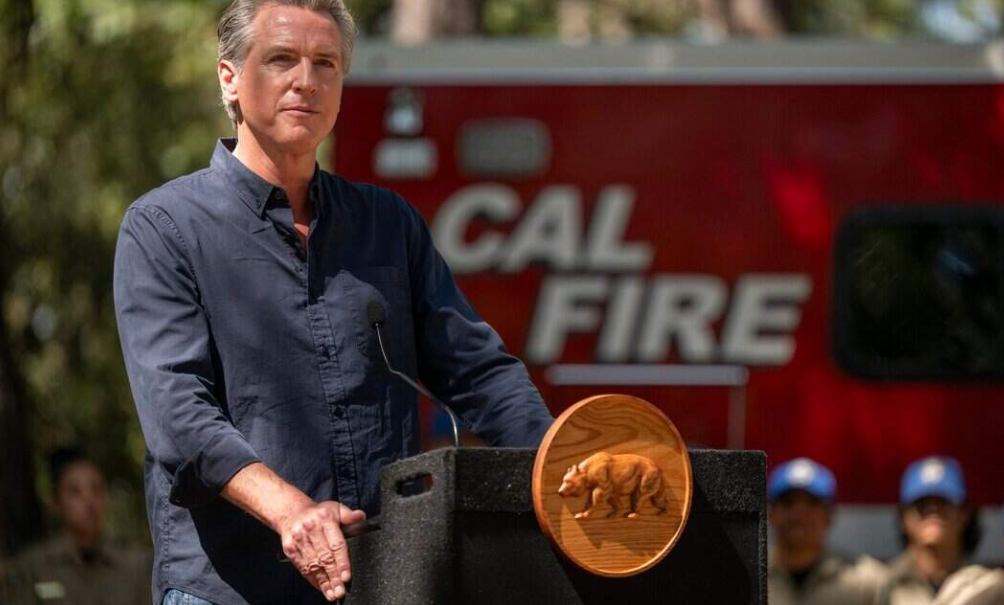 Newsom veto of wildfire insurance bills leads supporters to ask: Was it payback?