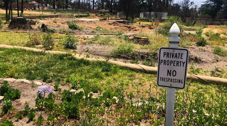 Final FEMA Funding Released for Eaton and Palisades Fire Survivors