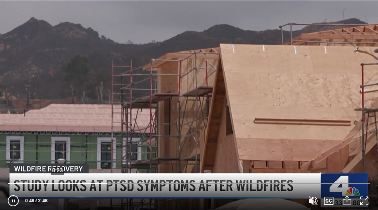 Half of Eaton, Palisades Fire survivor suffer from PTSD, study says