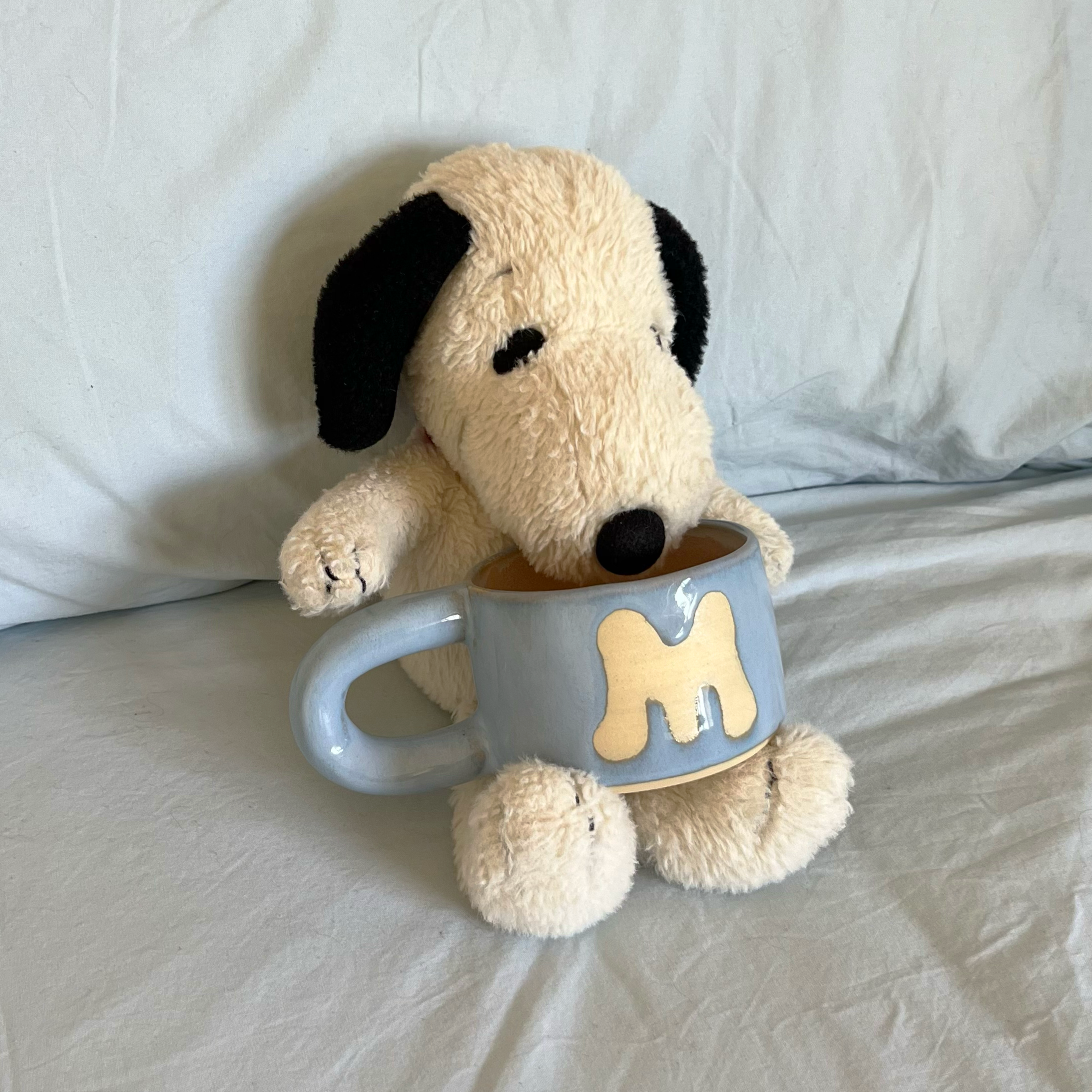 snoopy mug.png