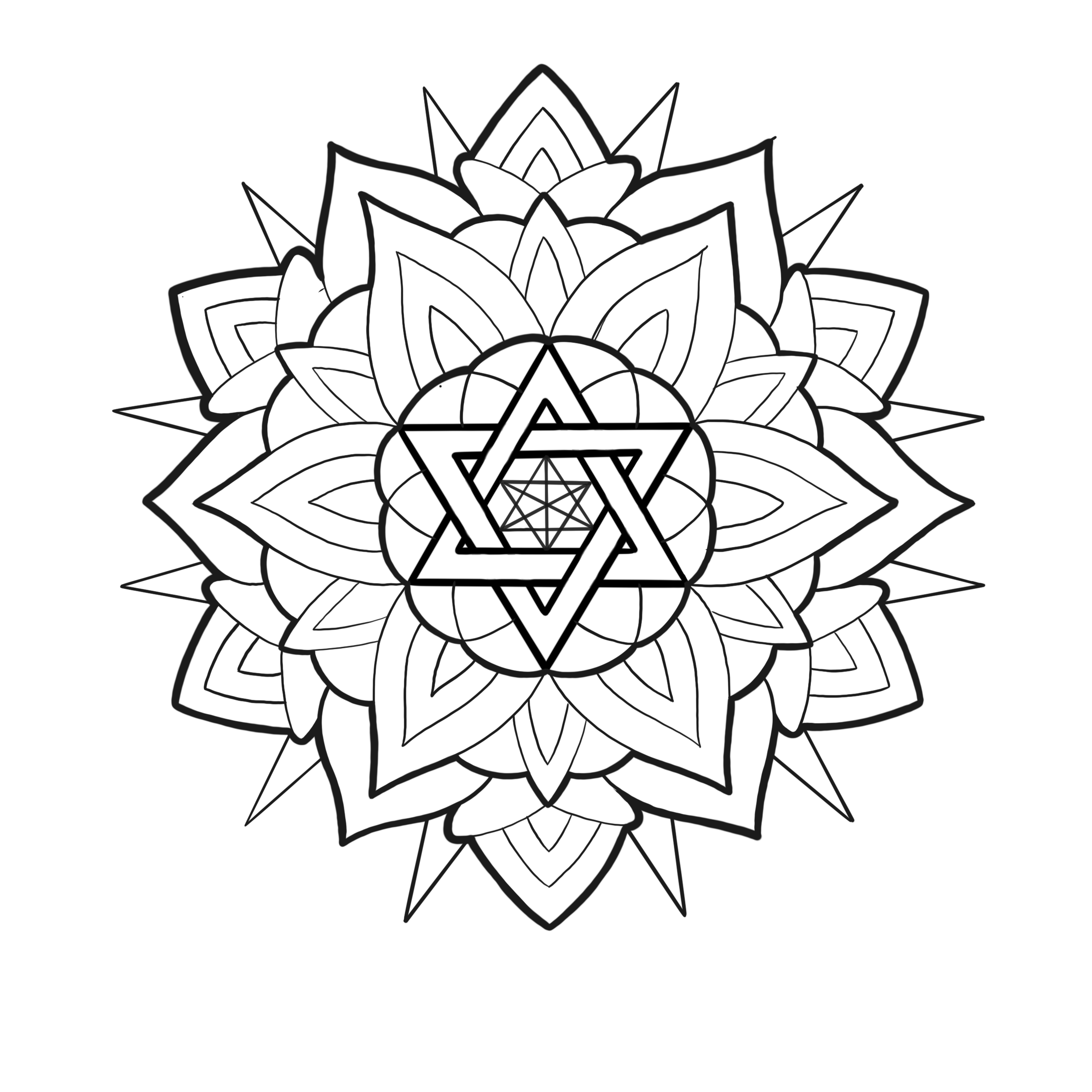 IMG_5561.png