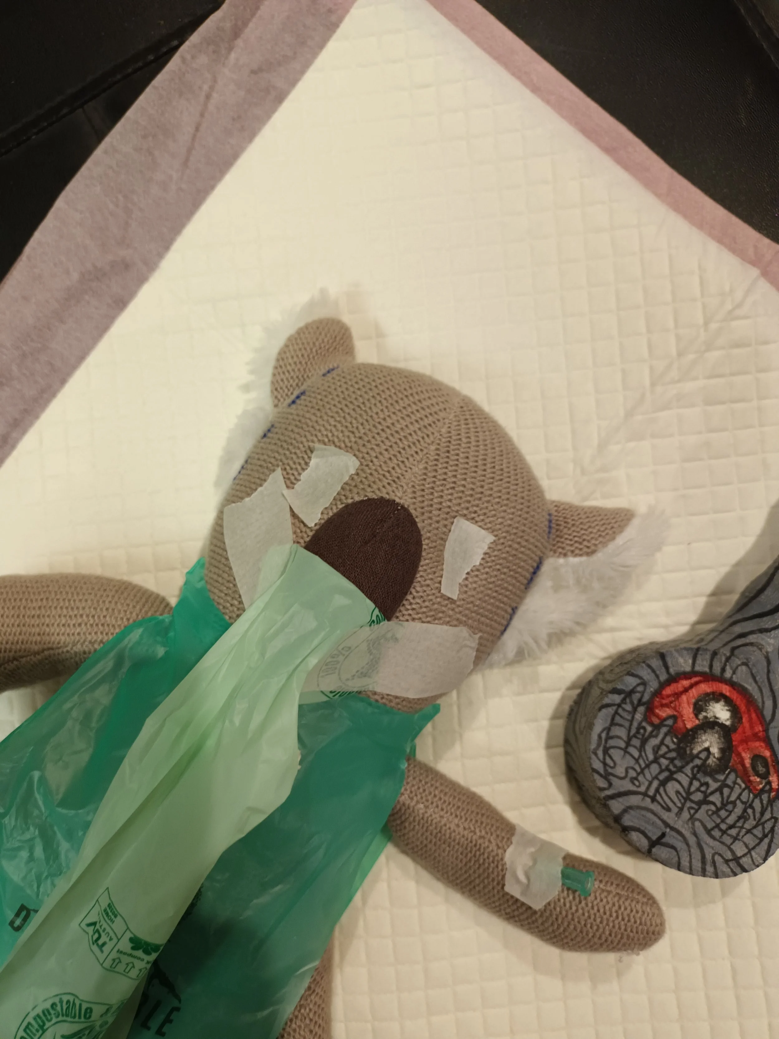 20240528_195451.jpg