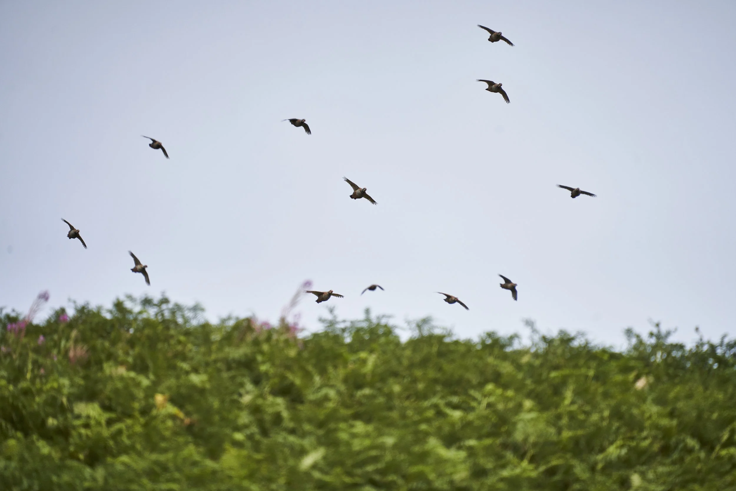 PlasDinam_110921_ 182.jpg