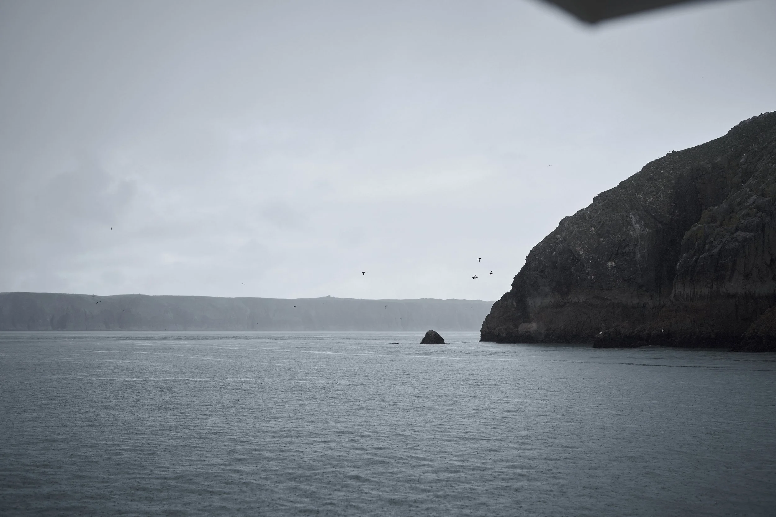Overcast coastal scene with grey sky, large rocky cliffs on the right, calm water, and a flock of birds flying over the sea.