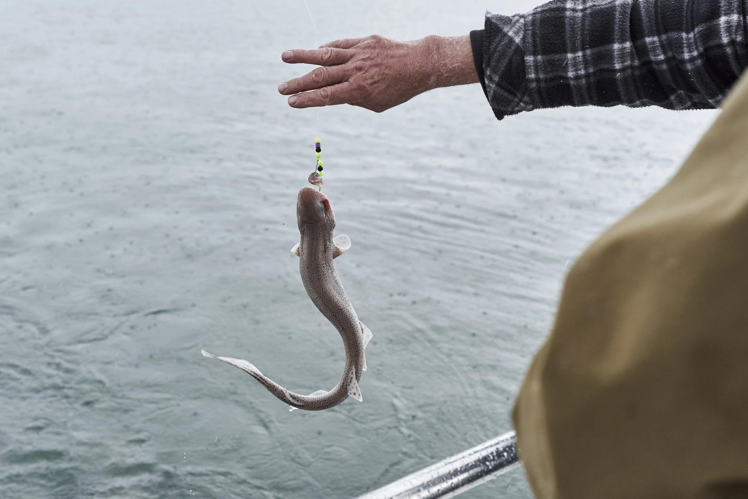 Person holding a small fish with a beaded fishing lure over water.