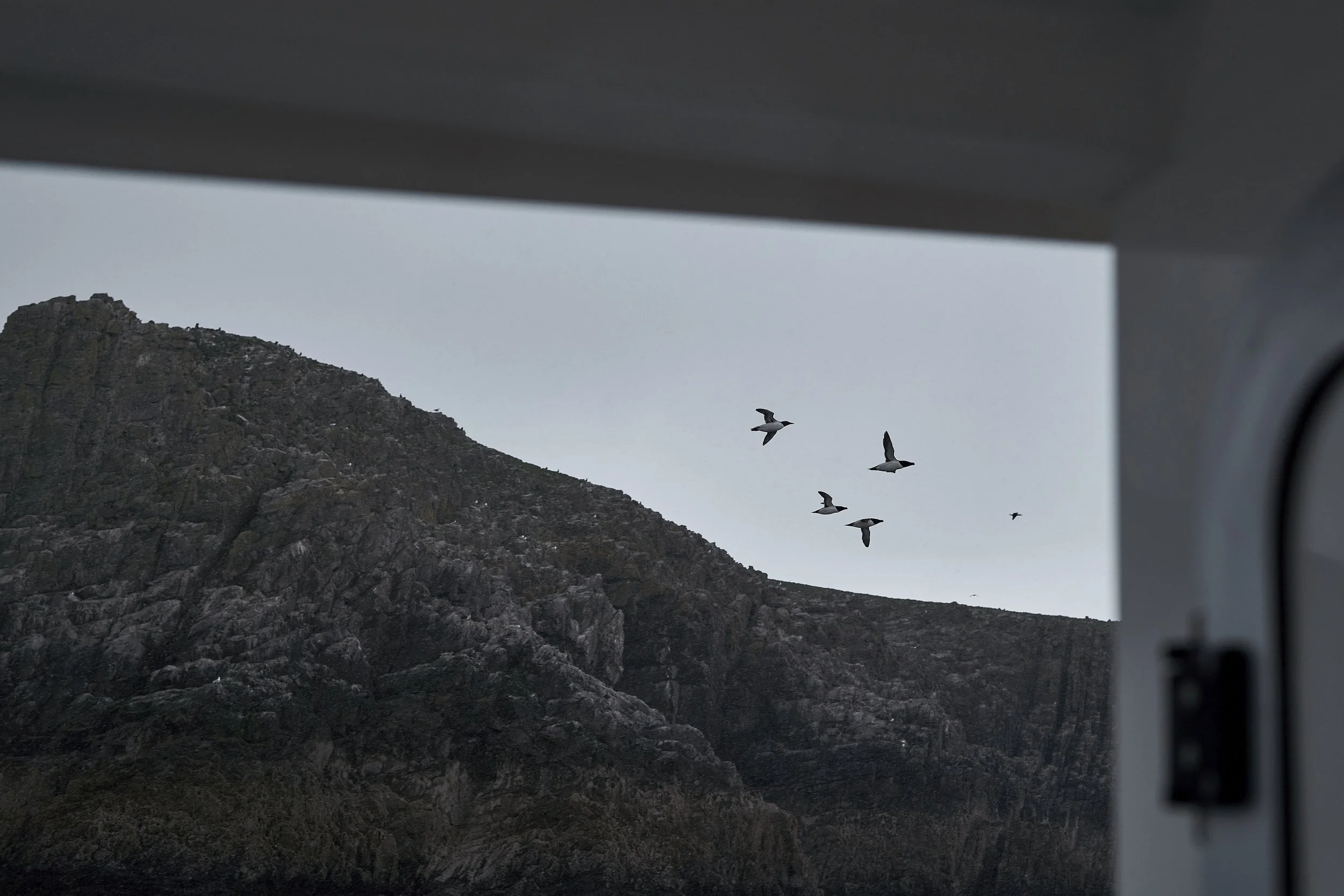 Seagulls flying near a rocky mountain view seen from the window of a vehicle.