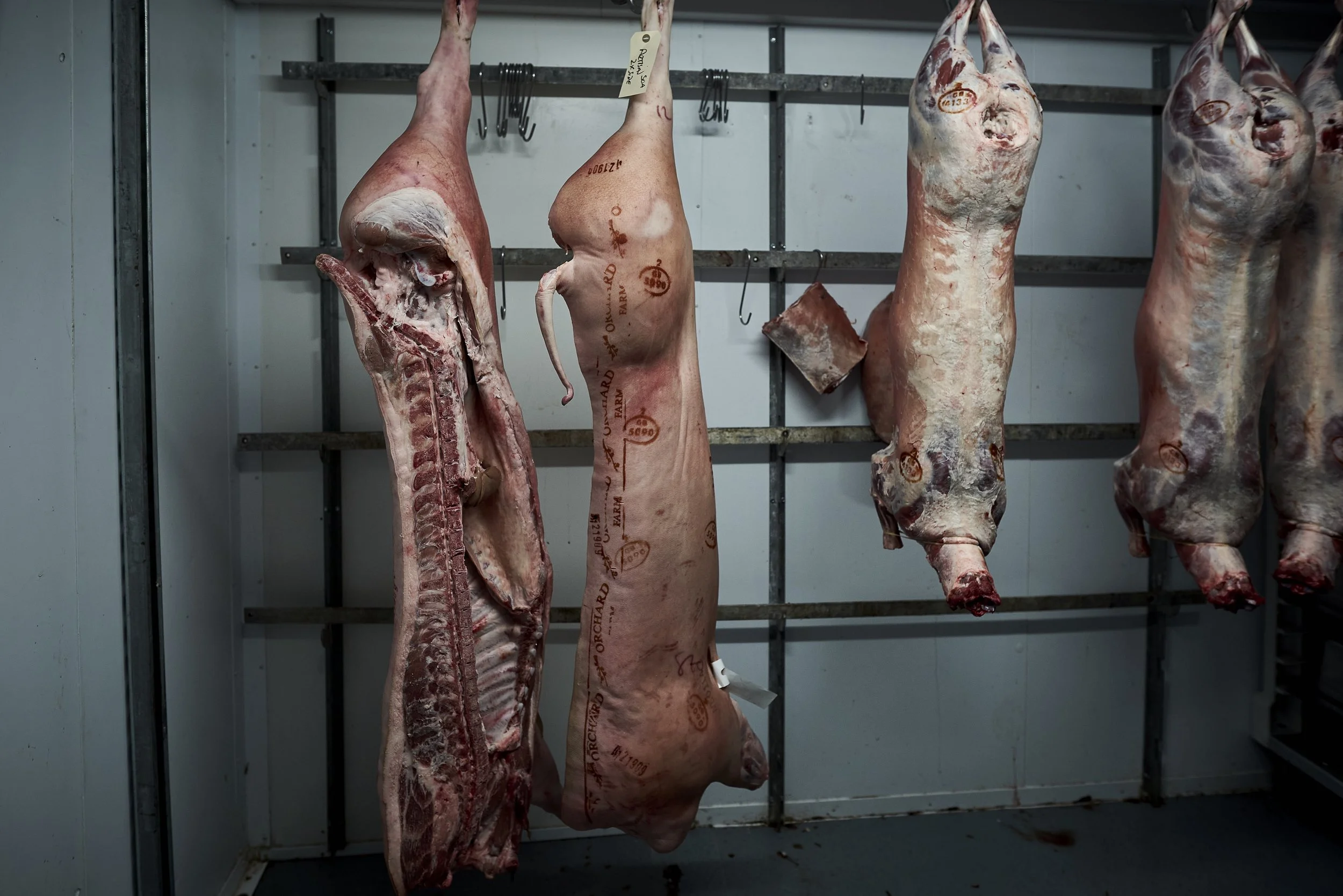 Butcher shop with hanging cuts of beef and lamb in a cold storage room.