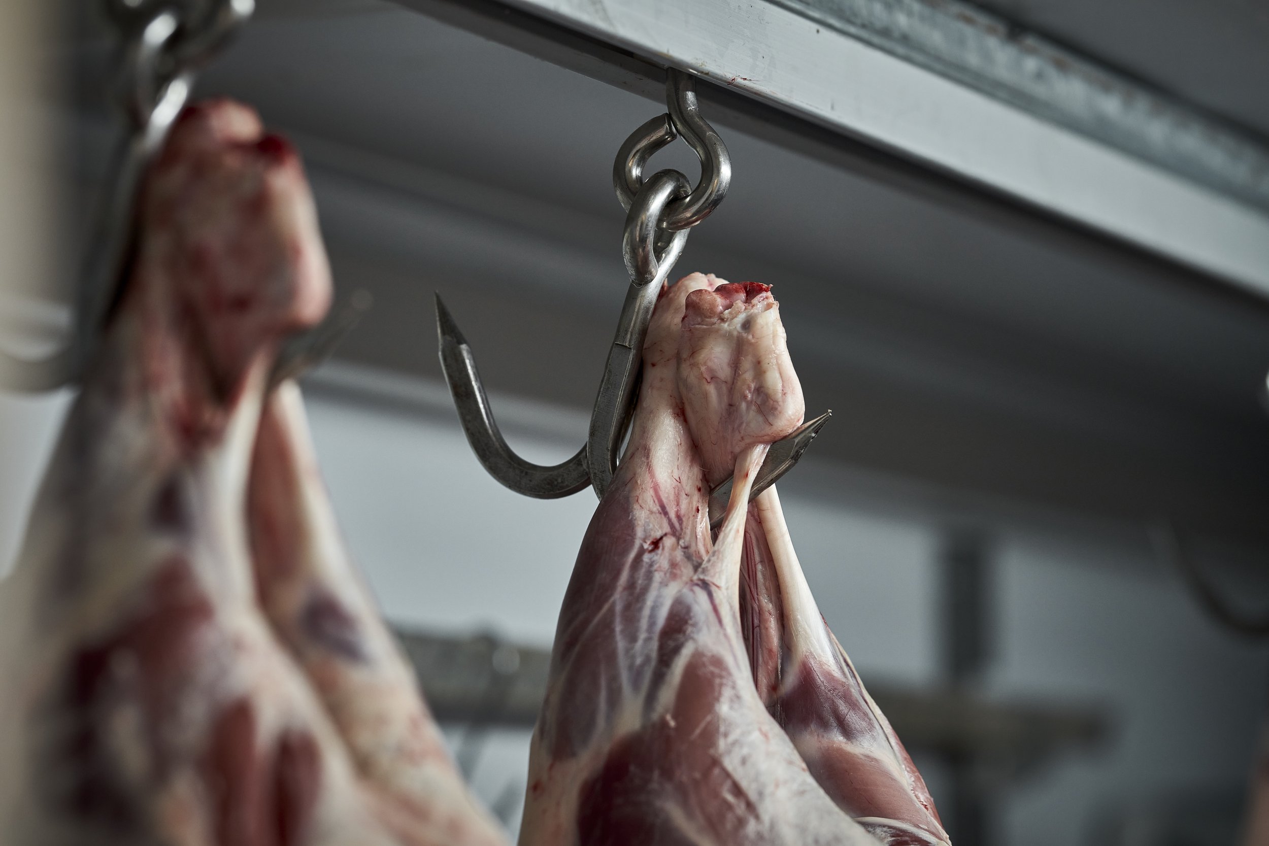 Meat carcasses hanging on hooks in a meat processing facility.